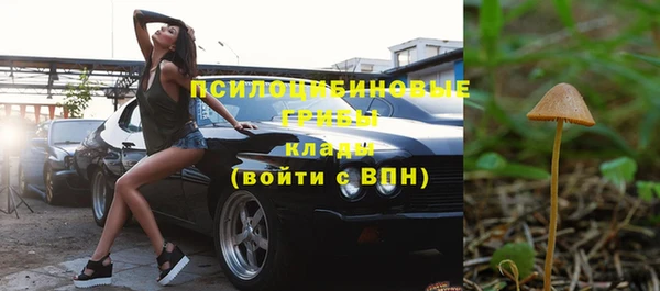 мдпв Каменка