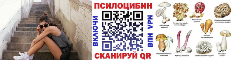 Галлюциногенные грибы Psilocybe  Каспийск 